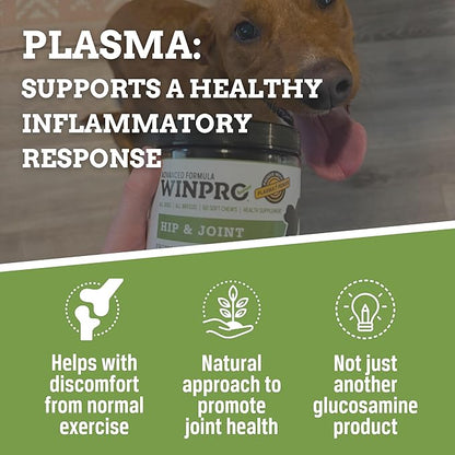 WINPRO Hip & Joint Supplement for Dogs - Plasma Powered Soft Chews for Joint Health & Mobility – Fast-Acting with Collagen & Natural Ingredients for Dogs of All Breeds – 60 Chews