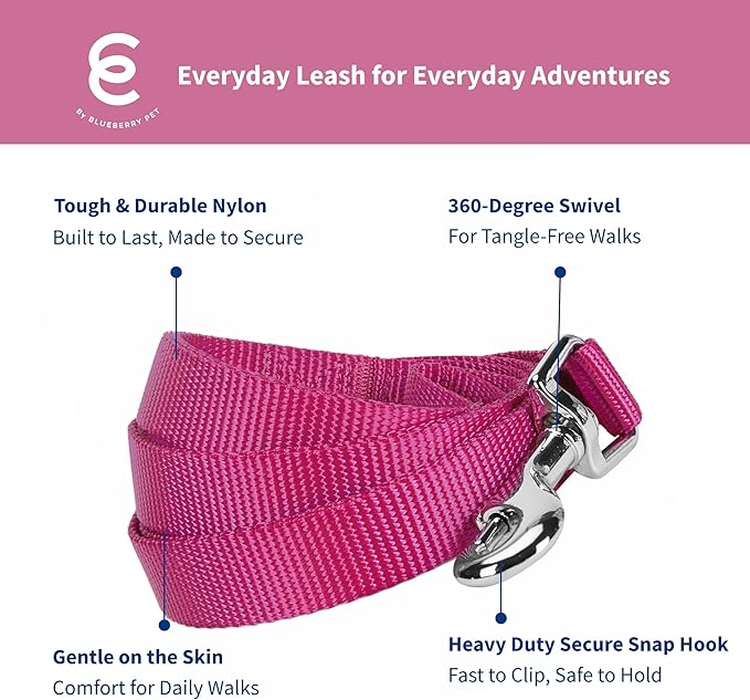 Blueberry Pet Essentials Very Berry Dog Leash for X-Small -5' * 3/8" Dogs | Heavy Duty Nylon Lead | Lightweight Puppy & Cat Leash for Walking & Training