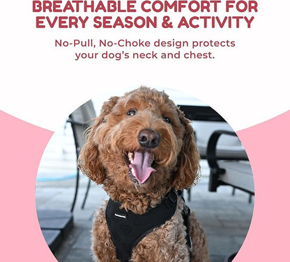 No-Pull, No-Choke Dog Harness & Leash Set – Stylish & Fun – Lightweight, Breathable Neoprene – Unique Heart Pattern – Adjustable for Extra Small to Medium Dogs (Harness Leash Set-Black, XX-Small)
