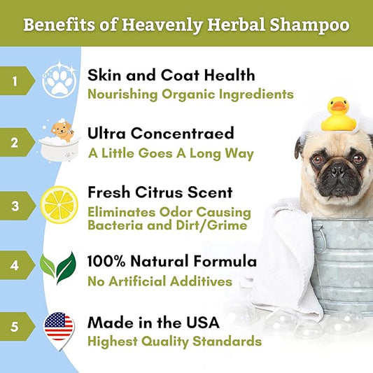 Wholistic Pet Organics Pet Shampoo Concentrate: Heavenly Herbal Organic Dog Shampoo and Conditioner - All Natural Puppy and Cat Shampoo for Dry, Itchy Skin, Allergies, Dandruff (8.00, Ounces)