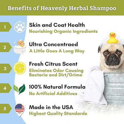 Wholistic Pet Organics Pet Shampoo Concentrate: Heavenly Herbal Organic Dog Shampoo and Conditioner - All Natural Puppy and Cat Shampoo for Dry, Itchy Skin, Allergies, Dandruff (2.0, Ounces)