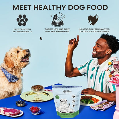 The Pets Table Air Dried Grain Free Dog Food for Dogs Large, Medium and Small | Puppy Dog Food, Adult Dog Food, Senior Dog Food | Beef & Berries 4.5 lbs / 72 oz Bag