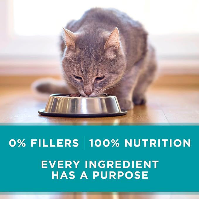 Purina ONE Natural, High Protein, Grain Free Wet Cat Food Pate, Beef Recipe - (Pack of 24) 3 oz. Pull-Top Cans