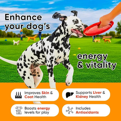 24-in-1 Dog Multivitamin with Glucosamine - Chewable Dog Vitamins and Supplements for Hip & Joints - Ideal for Immune Support and Digestive Health - Best for Senior Dogs and Puppies’ Skin & Heart