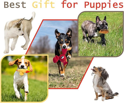 JKW Squeaky Plush Dog Toy Set, 3 Pack Interactive Pet Toys, Chew Toys for Small Medium Large Dogs (Lobster 3 Pack)