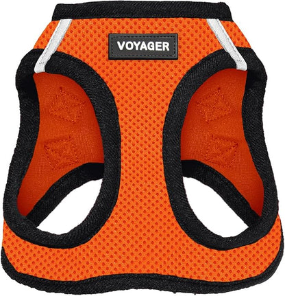 Best Pet Supplies Voyager Step-in Air Harness - All Weather Mesh, Reflective, No Pull Harness for Dogs, Cats - Secure with Hook & Loop Fastener, Buckle, Double D-Rings - Orange/Black Trim, XXXS