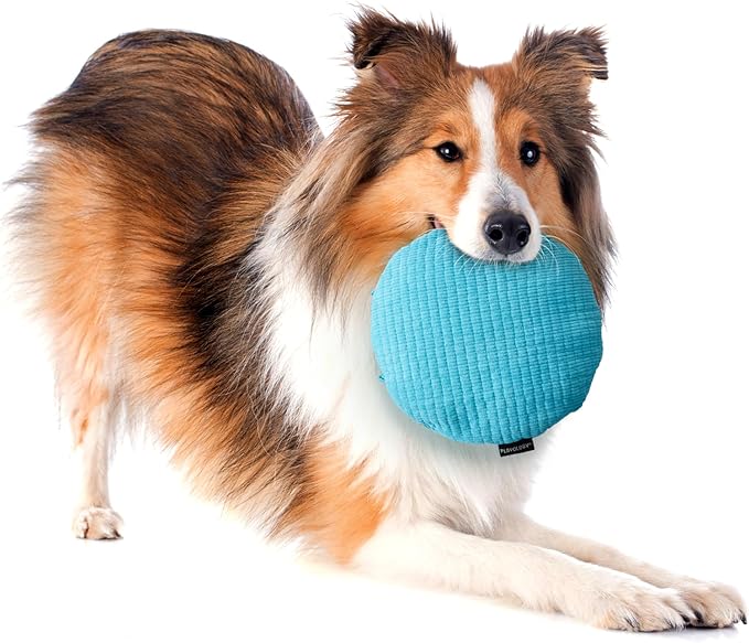 Playology Dog Toys | Plush Toy Crinkle Disc for Dogs | Jumbo Peanut Butter Scented Toy - Easy to Clean and Made from Non Toxic Materials