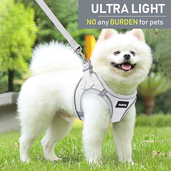 GAMUDA Small Pet Harness Collar and Leash Set, Step in No Chock No Pull Linen Fabric Soft Mesh Dog Vest Harnesses Reflective for Dogs Puppy Cats Kitten Rabbit (White, XXS)