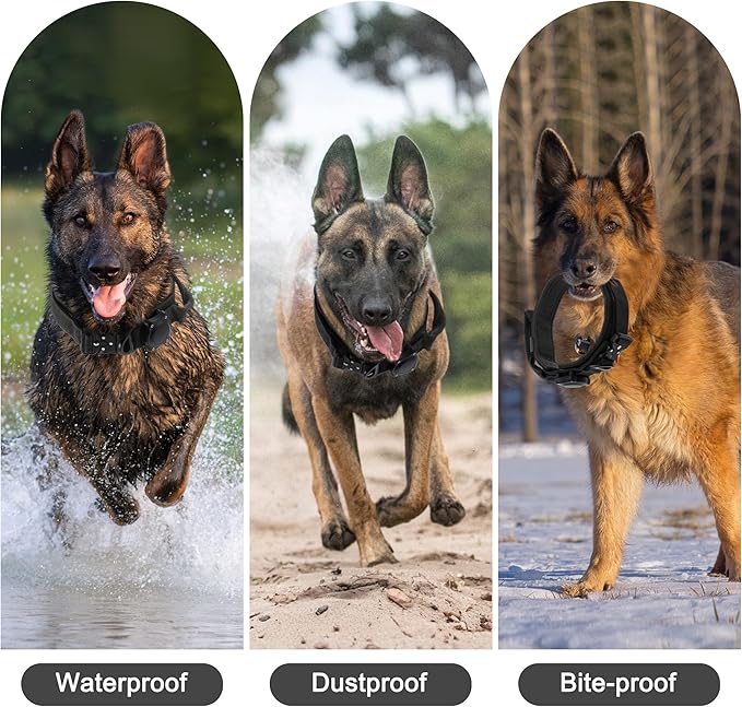 Dog Collar, Waterproof Tactical Dog Collar with Control Handle and Zinc Alloy Buckle, Pet Collar for AirTag, Medium Large Dogs, Large, Black (Includes Screwdriver Accessories)