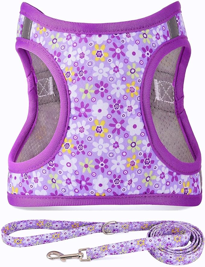 Moonpet Step in Dog Harness Leash Set- All Weather Reflective No-Pull Floral Pattern Padded Mesh Vest Harness for Cats Puppy Extra-Small Small Medium Large Dogs - Purple Flower - XXS