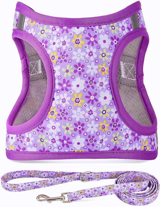 Moonpet Step in Dog Harness Leash Set- All Weather Reflective No-Pull Floral Pattern Padded Mesh Vest Harness for Cats Puppy Extra-Small Small Medium Large Dogs - Purple Flower - XXS