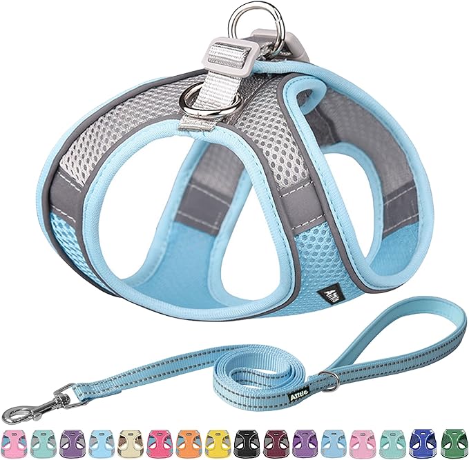 AIITLE Comfortable Dog Harness and Leash Set for Walking - Step in Vest Harness,Reflective Bands, Adjustable No Pull Puppy Essentials, for Small Dogs and House Cats Blue XS