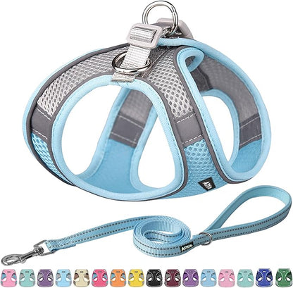 AIITLE Easy Walk Dog Harness and Leash Set - Pet Supply No Pull, Step in Adjustable Dog Harness with Padded Vest for All Weather, Dog Harness No Choke Over, Easy to Put on Medium Dogs Blue L