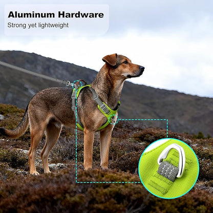 ApakBak No Pull Dog Harness – Adjustable Reflective Nylon Vest for Small Medium Large Dogs, Escape Proof Training Harness with Leather Control Handle, Lightweight Aluminum Hardware (Green, L)