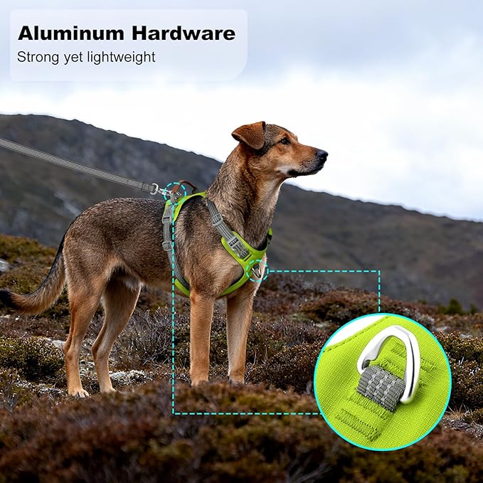 ApakBak No Pull Dog Harness – Adjustable Reflective Nylon Vest for Small Medium Large Dogs, Escape Proof Training Harness with Leather Control Handle, Lightweight Aluminum Hardware (Green, XL)