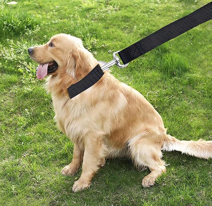 TAIAN 5 FT Strong Dog Leash, Nylon Dog Leashes for Small Medium Large Dogs Black