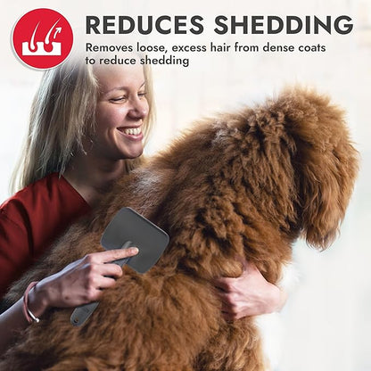 KONG Large Slicker Brush – Removes Loose Hair, Reduces Shedding, Comfortable Non-Slip Grip, Long Metal Pins, for Medium to Large Dogs with Medium to Long Coats, Red/Gray