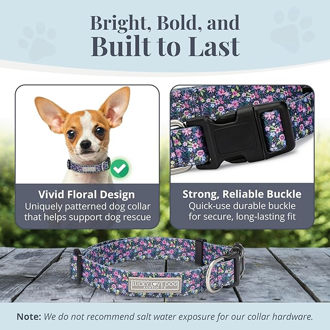 Lucky Love Dog, Comfortable, Soft, Cute Female Dog Collar for Tiny Dogs, Black & Purple Floral Print, Adjustable Nylon Collar, Primrose, X-Small