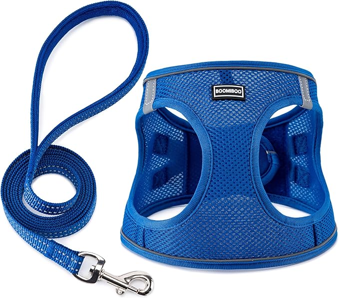 BOOMIBOO Dog Harness with Leash Set, No Pull Adjustable Reflective Step-in Puppy Pet Vest Harnesses for Small Medium Large Dogs and Cats,Blue XS