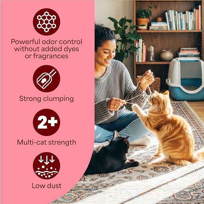 Fresh Step Advanced Simply Unscented Clumping Litter, Fresh Step Unscented Cat Litter Fights Odor on Contact, 37 lbs. (2 x 18.5 lb. Box)