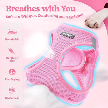 rabbitgoo Dog Harness Small Medium Sized and Leash Set, Step in Soft Light Puppy Vest, Breathable Mesh Pet Harness, Reflective for Safe Easy Walking, Light Pink XL