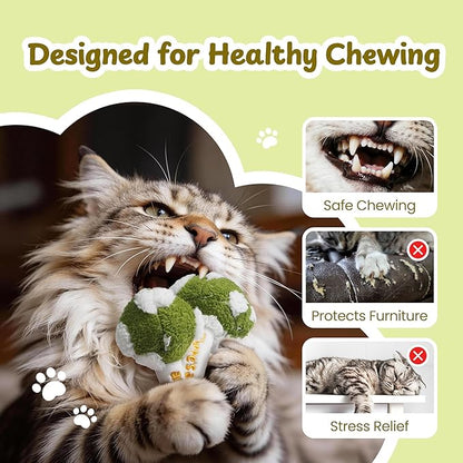 PURETOY Cat Toys for Indoor Cats, Catnip and Silvervine Chew Toys with Different Textures, Funny Slang Printed Kitten Toys for Teething, Cat Toys for Bored Indoor Adult Cats, Value Multi-Pack