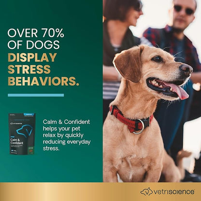 VetriScience Calm & Confident Chews, Composure Clinically Tested Calming and Anxiety Supplement for Dogs, Reduce Stress and Fear, Ideal for Thunderstorms, Fireworks and Travel, Bacon, 120 Count