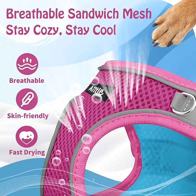 AIITLE Comfortable Dog Harness and Leash Set for Walking - Step in Vest Harness,Reflective Bands, Adjustable No Pull Puppy Essentials, for Small Dogs and House Cats Pink XS