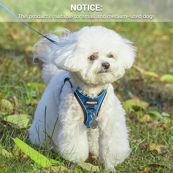Dog Harness and Leash Set, Dog Harness for Dogs No Pull, No-Chock Step-in Reflective Breathable Lightweight Easy Walk Vest Harnesses with Safety Buckle for Small Medium Dogs, Cats (Blue, S)