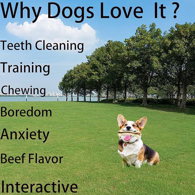 SPEREELER Dog Bones Chew Toys for Aggressive Chewers, 3 Pack Real Beef Flavor,Indestructible Dog Teething Chew Toys for Large/Medium/Small Breed,Tough Toy with Durable Nylon