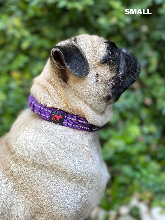 Tuff Pupper Heavy Duty Dog Collar with Handle | Ballistic Nylon Heavy Duty Collar | Padded Reflective Dog Collar with Adjustable Stainless Steel Hardware | Convenient Sizing for All Breeds