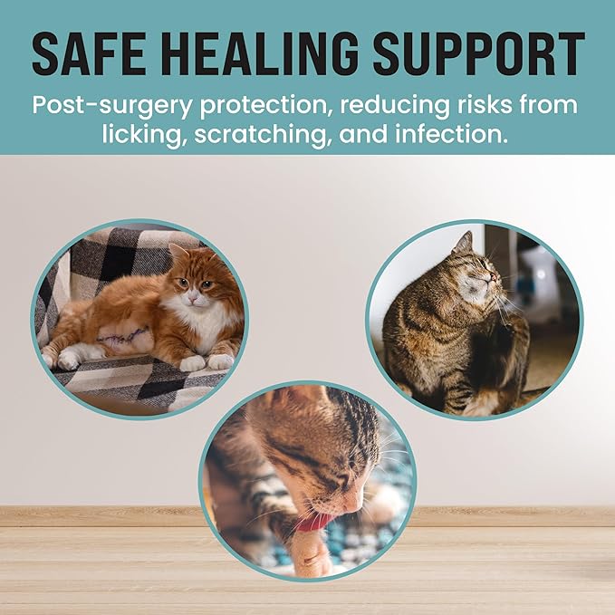 KittyCraft Cat Recovery Suit - Strangle-Proof Post Surgery Cat Onesie, Cat Post-Surgery Suit (Medium, Pink)