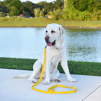 Dogline Biothane Waterproof 4ft Dog Leash Strong Coated Nylon Webbing with Black Hardware Odor-Proof Easy to Clean High Performance for Small or Large Dogs Made in USA 4ft Lead, Lemon Yellow