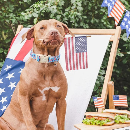 UP URARA PUP 4th of July Dog Collar–American Flag Dog Collars,Patriotic Stars & Baseball Pet Collar with Quick Release,Adjustable for Small/Medium Dogs