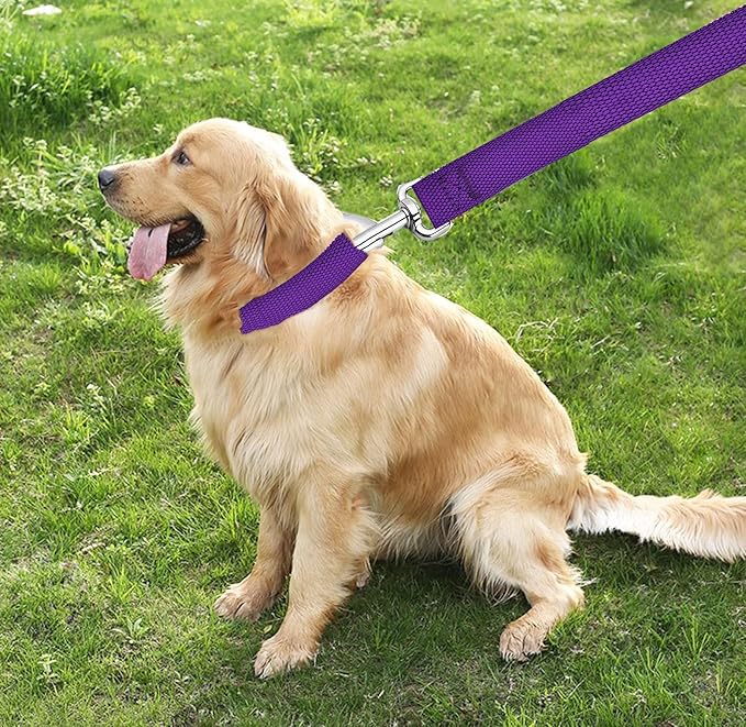 TAIAN 4FT/5FT/6FT Strong Dog Leash, Nylon Dog Leashes for Small Medium Large Dogs (3/4 in x 5 ft, Purple)