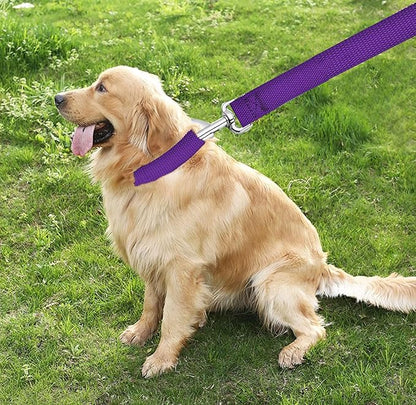 TAIAN 4FT/5FT/6FT Strong Dog Leash, Nylon Dog Leashes for Small Medium Large Dogs (3/4 in x 5 ft, Purple)