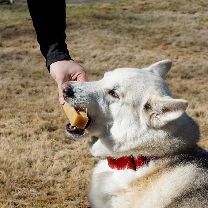 KATHMANDU'S Authentic Yak Cheese Himalayan Dog Chews - All Natural and Protein-Rich Nutrition Dog Treats, Long Lasting Chews for Aggressive Chewers, Odor & Gluten Free Yak Chew | Jumbo (Pack of 5)