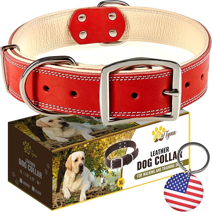 ADITYNA Heavy-Duty Leather Dog Collar for Extra-Large Dogs - Soft Padded for Comfort - XL Dog Collar for Walking, Training, and Hiking