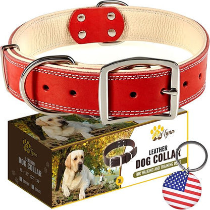 ADITYNA Heavy-Duty Leather Dog Collar for Extra-Large Dogs - Soft Padded for Comfort - XL Dog Collar for Walking, Training, and Hiking