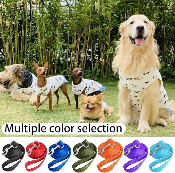 10ft Black Dog Leashes Long Line Training Puppy Leash,for Large,Medium and Small Dogs,Long Puppy Lead,for Training,Backyard,Camping,or Play,Great for Parks and Fetch (10FT, Black)