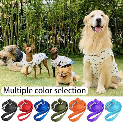 10ft Black Dog Leashes Long Line Training Puppy Leash,for Large,Medium and Small Dogs,Long Puppy Lead,for Training,Backyard,Camping,or Play,Great for Parks and Fetch (10FT, Black)