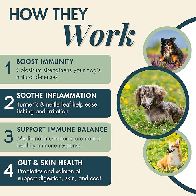 Wholistic Pet Allergy & Immune - Dog Allergy Chews with Mushrooms, Colostrum, Turmeric & Salmon Oil - Immune Support & Itch Relief for Dogs - Pre & Probiotics for Gut Health - Bacon Flavor - 90 Chews