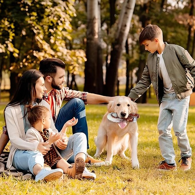 Indestructible Dog Toys for Aggressive Chewers, Tough and Durable Chew Toys for Large Medium Dogs, Interactive Dog Chew Toys to Keep Them Busy (B Squirrel)