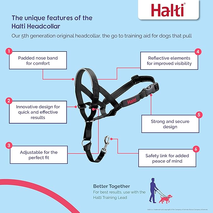 Halti Headcollar - Stop Your Dog Pulling on The Leash. Adjustable, Reflective and Lightweight, with Padded Nose Band. Dog Training Anti-Pull Collar for Medium Dogs (Size 2, Cobalt Blue)