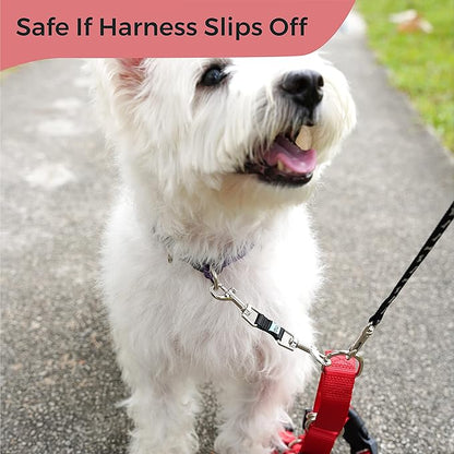 Gentle Creatures Collar Companion - Mini - Small Dogs Collar Backup Clip for Dog Harness, Prong, Pinch Collars, Gentle Lead - Double Ended Backup Clasp - Harness to Collar Safety Clip