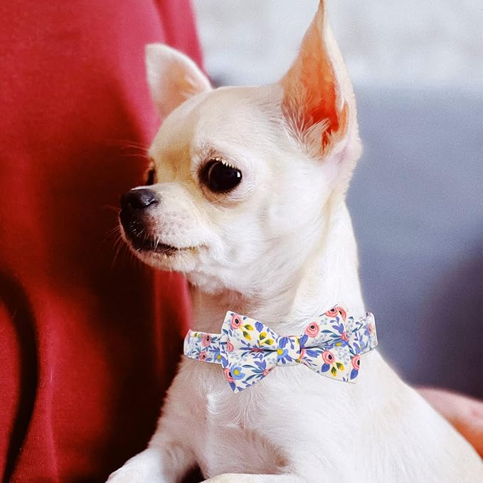 Dog Collar and Leash Set Girls Adjustable Puppy Collars with Floral Bow Tie for Small Medium Large Female Dogs, Blue Flower, L