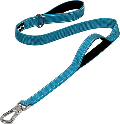 PetiFine 4FT Heavy Duty Dog Leash with Soft Padded Double Handle, Durable Strong Clasp Dog Leashes, Reflective Nylon Walking Lead for Large,Medium,Small Breed Dogs, Blue