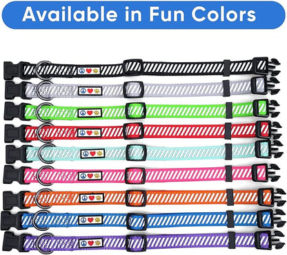 Pawtitas Reflective Dog Collar - Personalized Name & Phone Number, Adjustable for Small Dogs & Puppies, Green