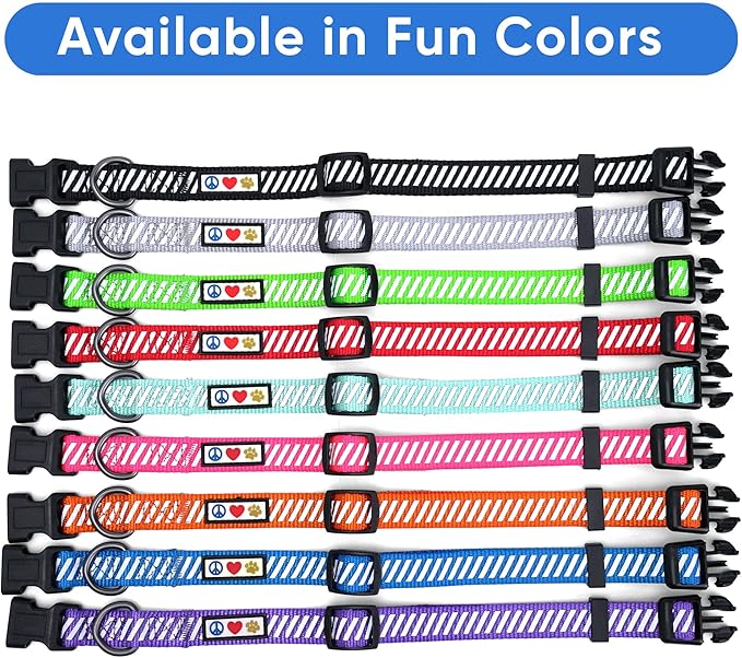 Pawtitas Reflective Dog Collar - Personalized Name & Phone Number, Adjustable for Small Dogs & Puppies, Black