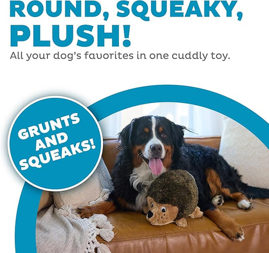Outward Hound Hedgehogz Stuffed Dog Toy – Soft Plush Hedgehog, Grunts & Squeaks, XL, 12" x 8.5" x 9"